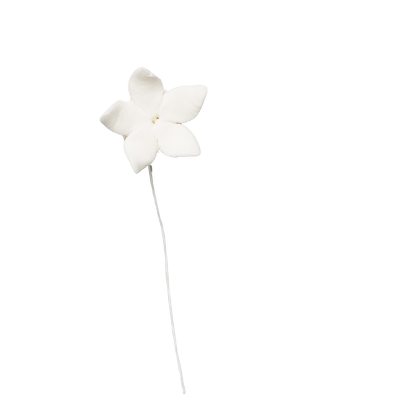 3/4" Pointy Stephanotis - Small - White