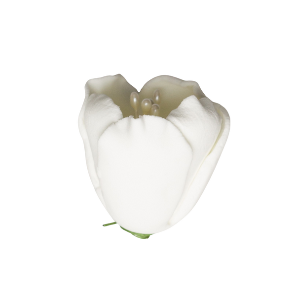 1" Tulip - White
