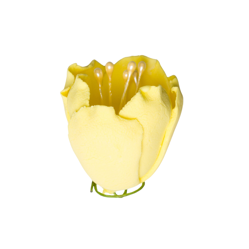Tulipán de 1" - Amarillo Limón