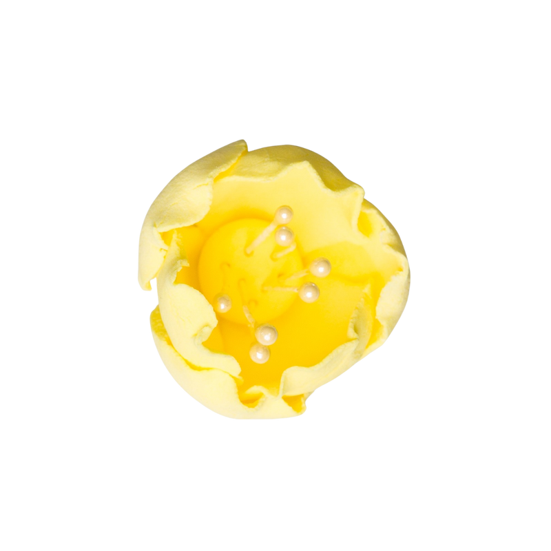 1" Tulip -Lemon Yellow