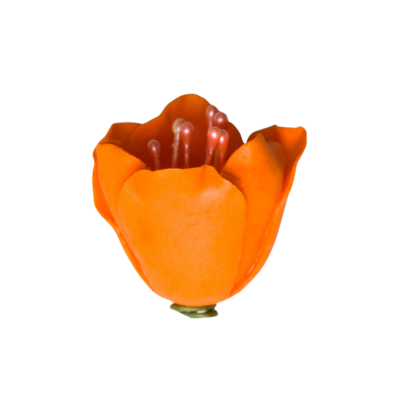 1" Tulip - Orange