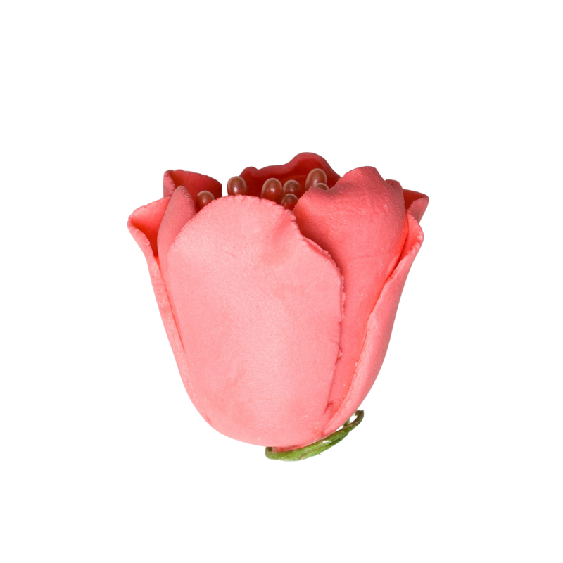 Tulipán de 1" - Coral