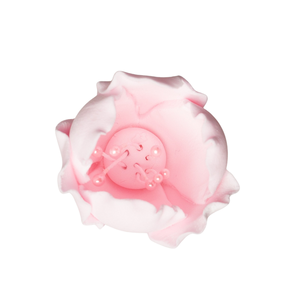 Tulipán de 1.5" - Rosa