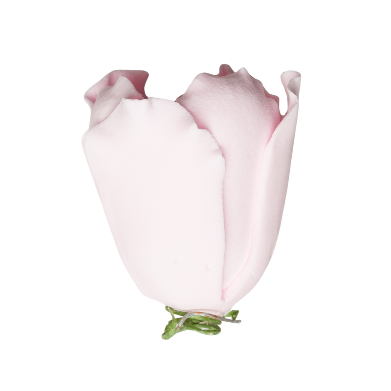 1.5" Tulip - Pink