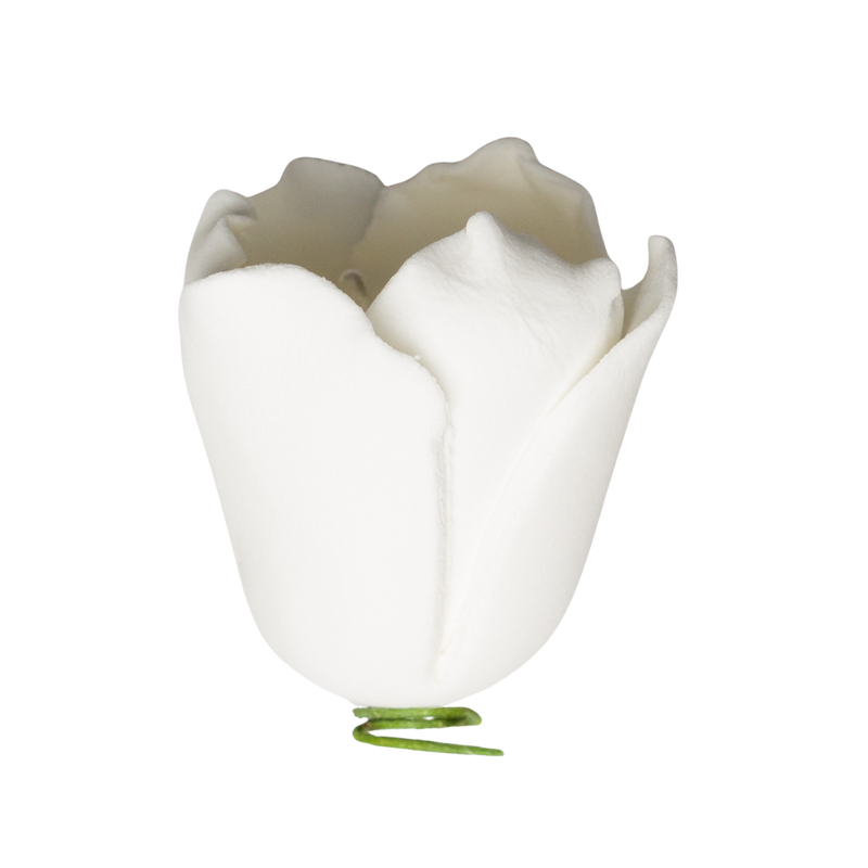 1.5" Tulip - White