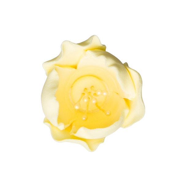 Tulipán de 1.5" - Amarillo