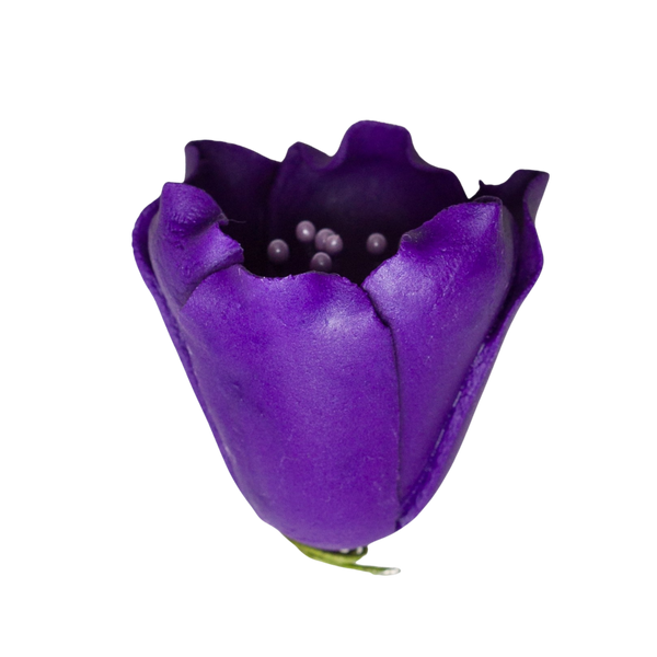 Tulipán de 1.5" - Púrpura