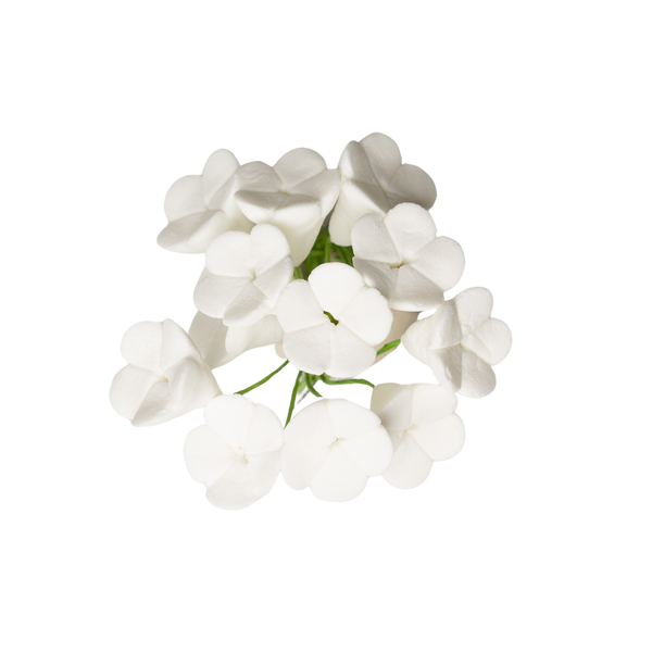 1/2" Apple Blossom - White