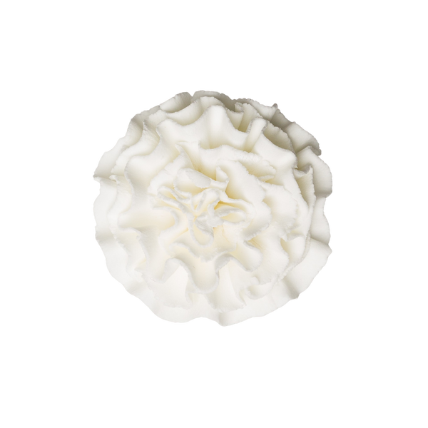 1.75" Carnation - Large - White