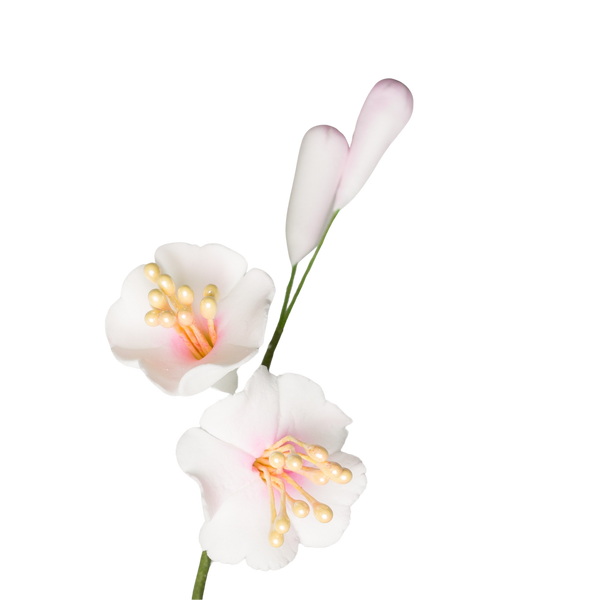 Relleno de flor de cerezo de 3" - Blanco con rosa