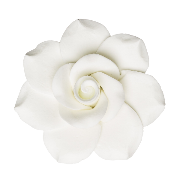 Gardenia de 3" - Grande - Blanco