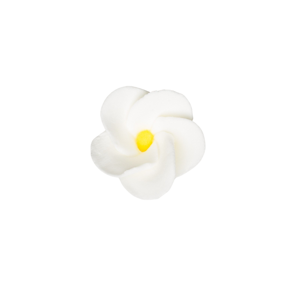 1-1/8" Frangipani Plumeria - Small - White