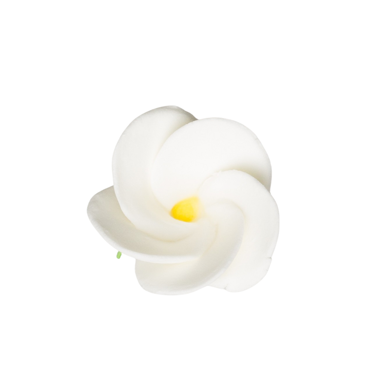 1-3/8" Frangipani Plumeria - Medium - White