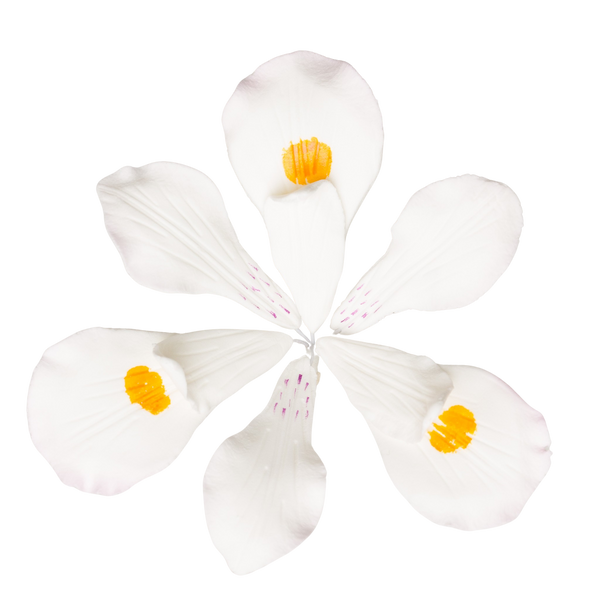 3" Iris - White