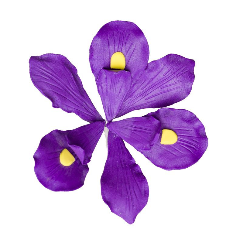Iris de 3" - Púrpura