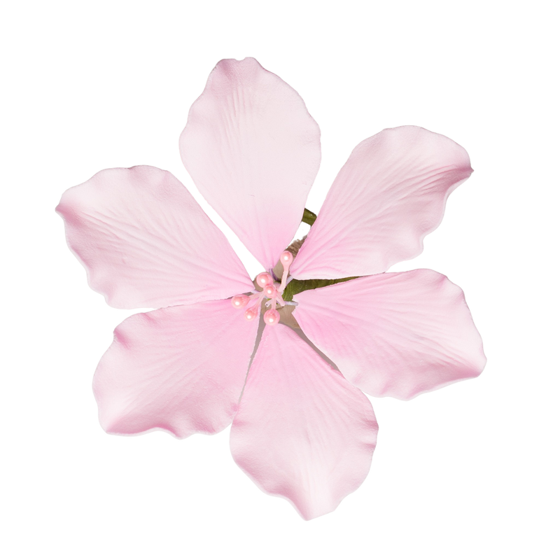 3.5" Gladiola - Large - Pink