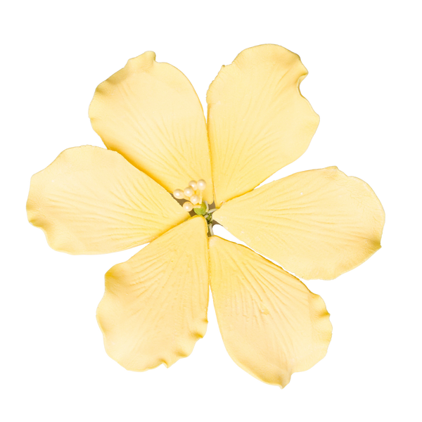 3.5" Gladiola - Large - Yellow