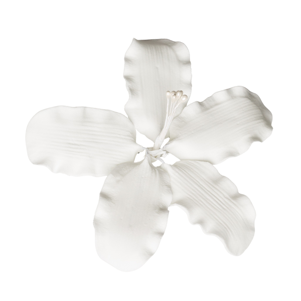 3.5" Gladiola - Large - White