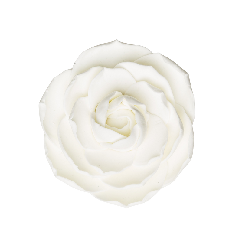 3" Camellia - White
