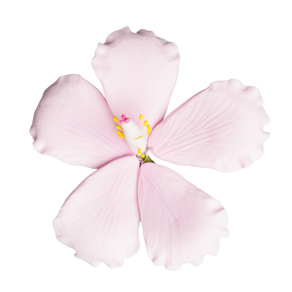 Hibisco de 3,5" - Mediano - Rosa