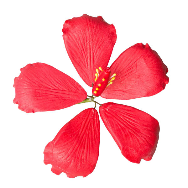 3.5" Hibiscus - Medium - Red
