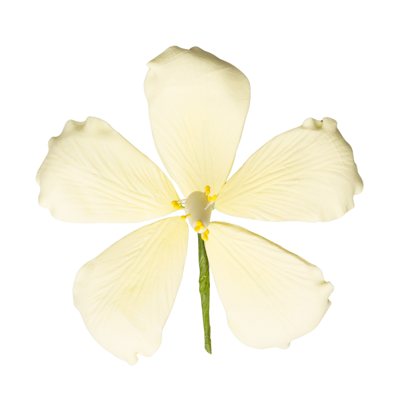 3.5" Hibiscus - Medium - Yellow