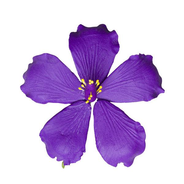 Hibisco de 3,5" - Púrpura