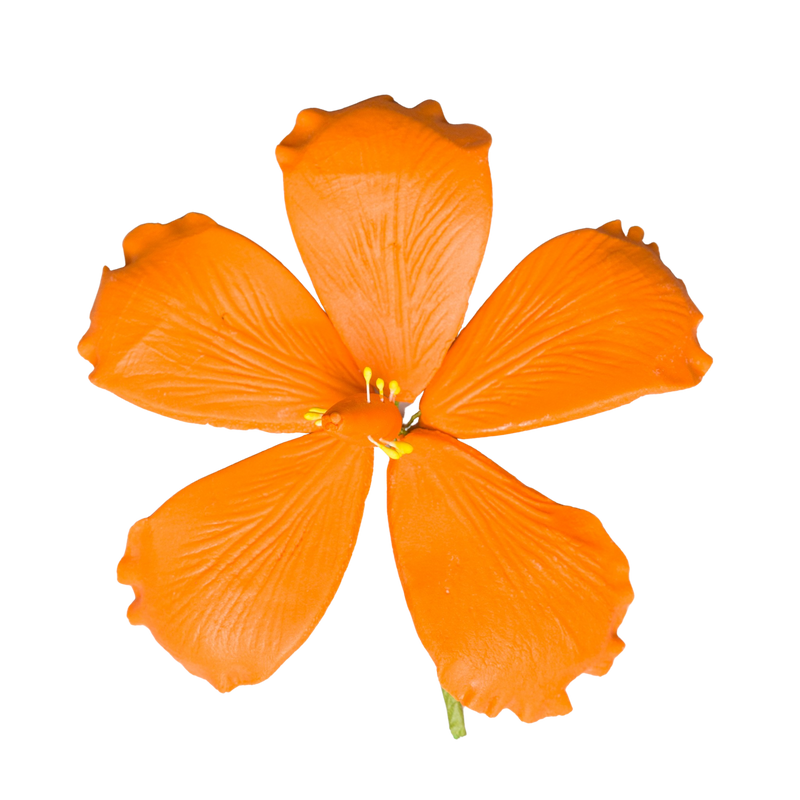 3.5" Hibiscus -  Orange