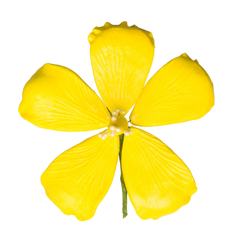 3.5" Hibiscus - Lemon Yellow