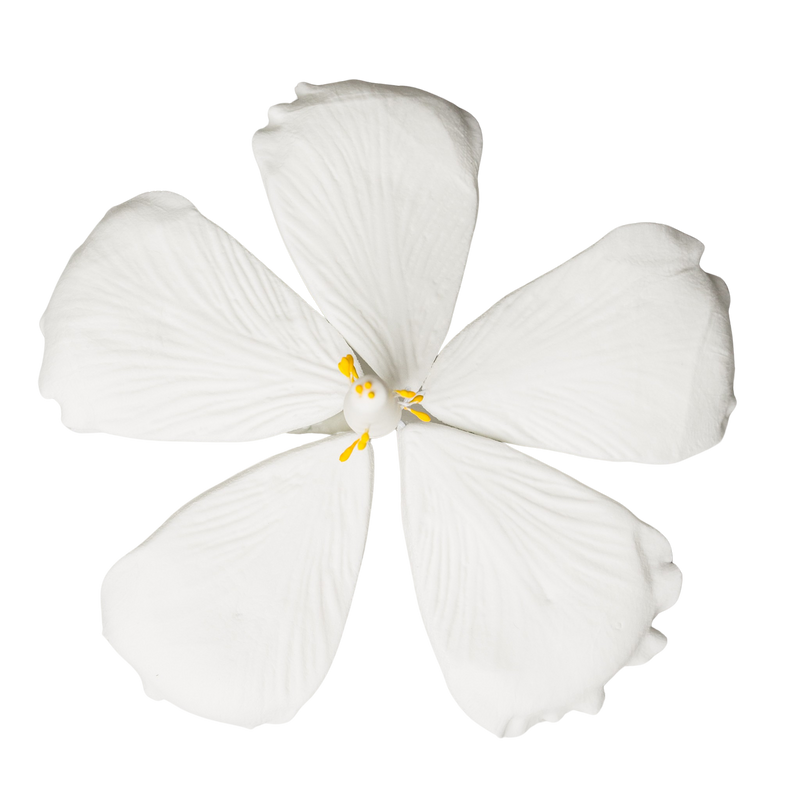 4" Hibiscus - Large - White