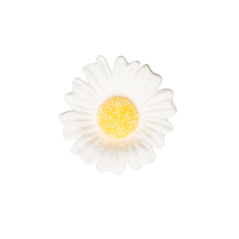 1.75" Daisy - Medium - White