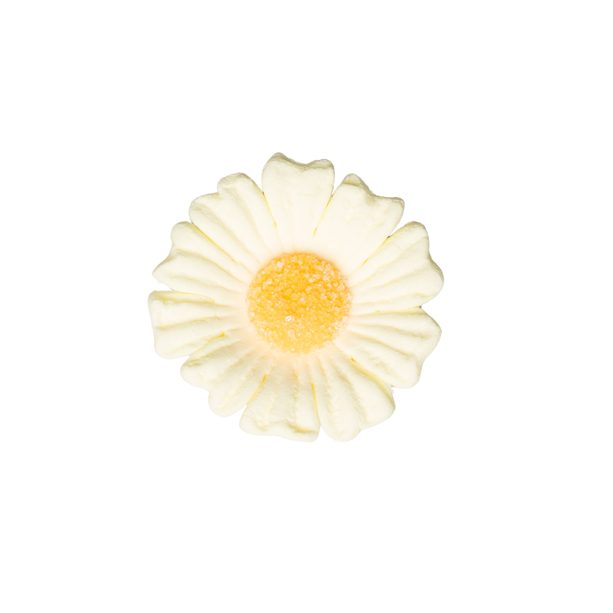 1.75" Daisy - Medium - Yellow – Wholesale Sugar Flowers