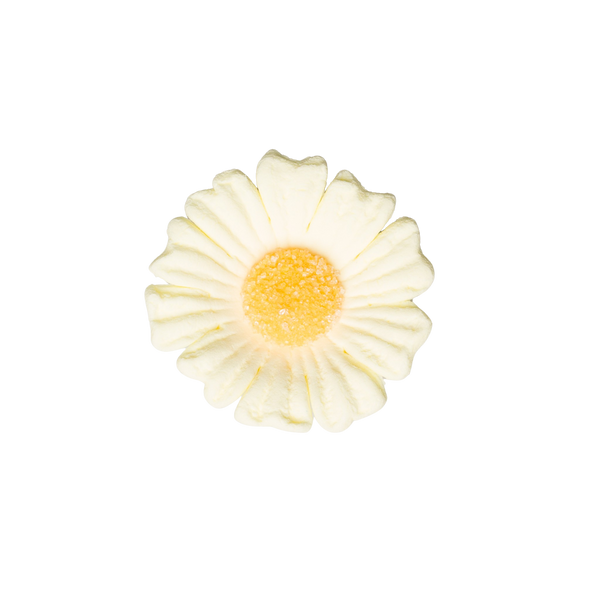 1.75" Daisy - Medium - Yellow