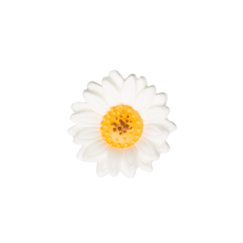 1.5" Shasta Daisy - White