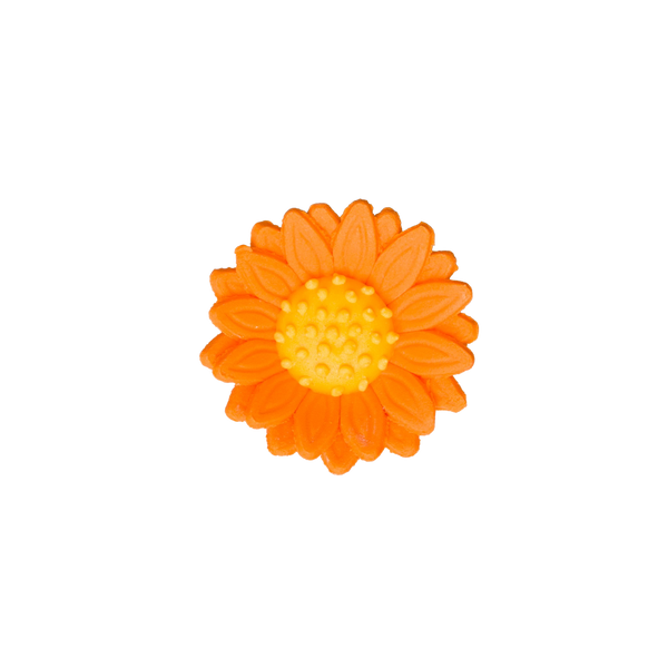 1.5" Shasta Daisy - Orange