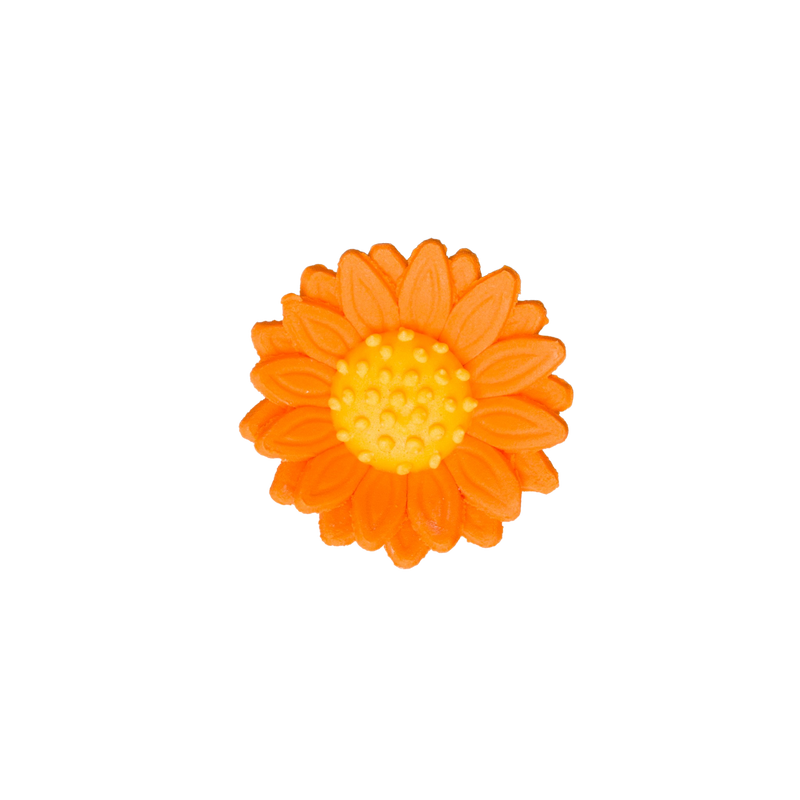 1.5" Shasta Daisy - Orange