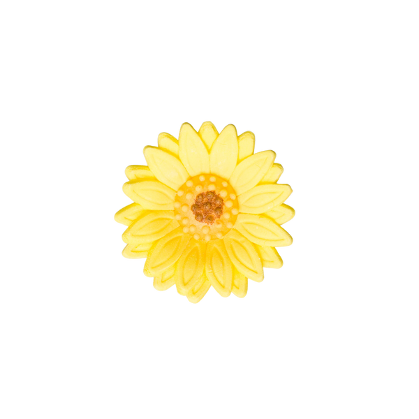 1.5" Shasta Daisy - Yellow