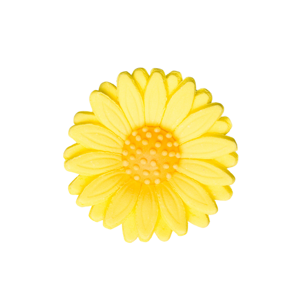 2" Shasta Daisy - Yellow
