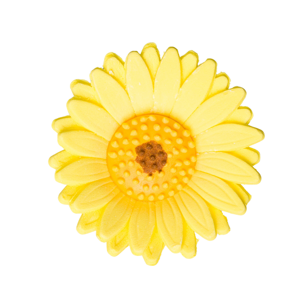 2.25" Shasta Daisy - Yellow