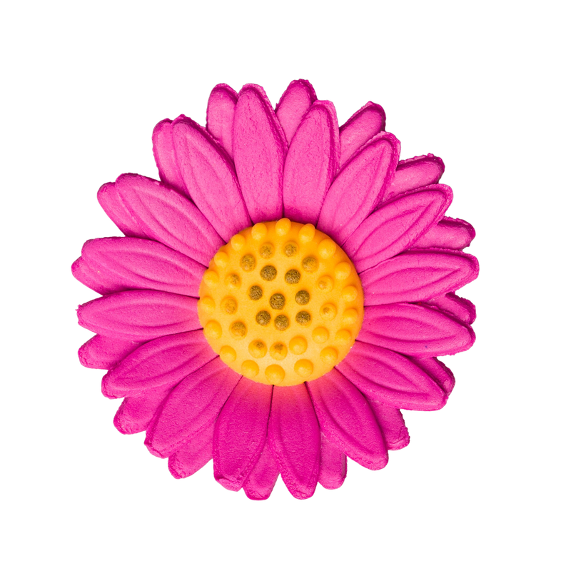 2.25 Shasta Daisy Hot Pink