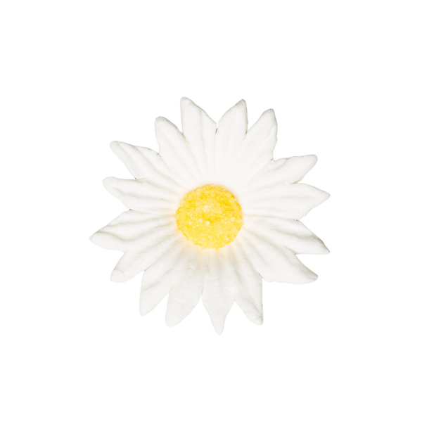 2" Gerbera Daisy 2 - White