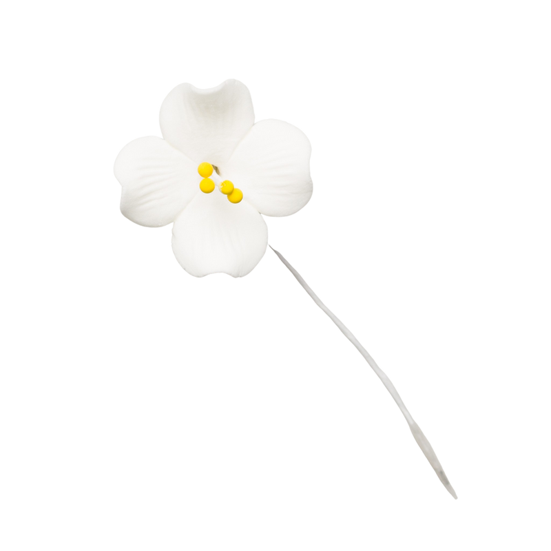 1.25" Browallia - White