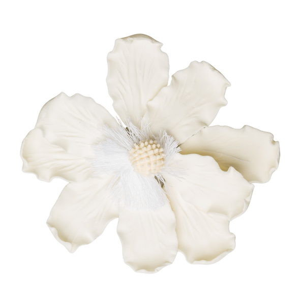 4" Elegant Anemone - Ivory