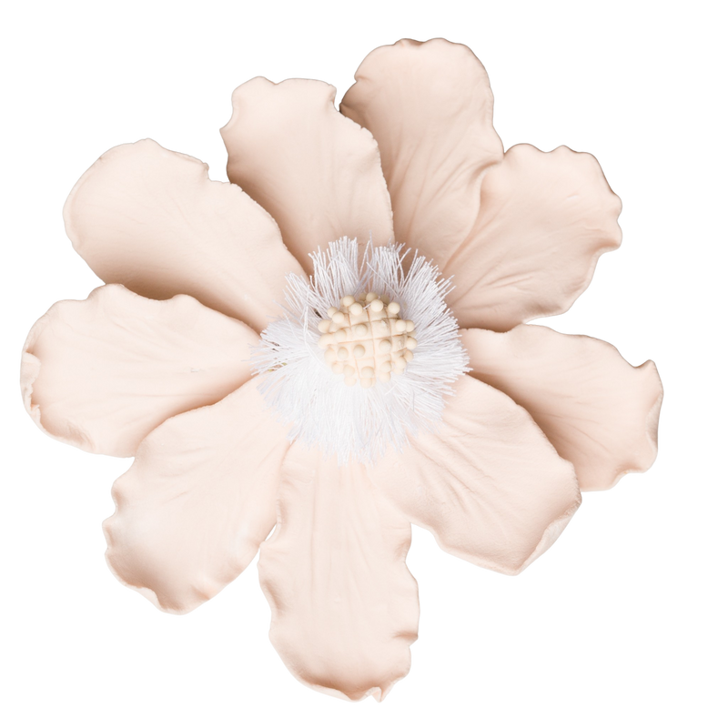 4" Elegant Anemone - Pale Pink