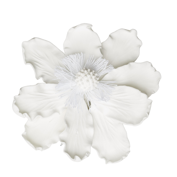 4" Elegant Anemone - White