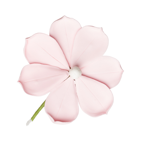 3" Magnolia - Rosa