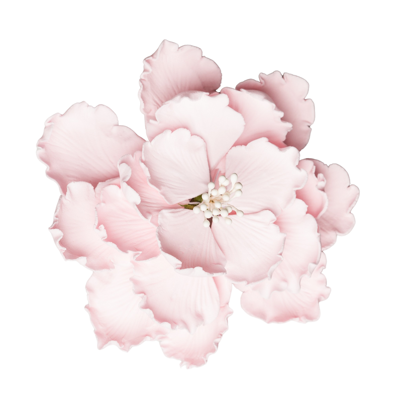 4" Garden Peony - Large - Pale Pink