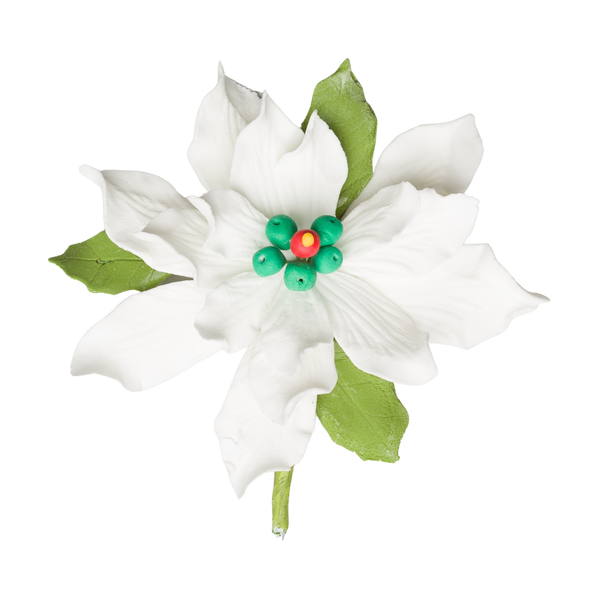 Flor de Pascua de 3,5" - Mediano - Blanco