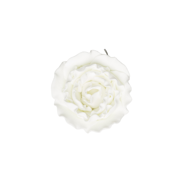 2" Ranunculus - Medium - White