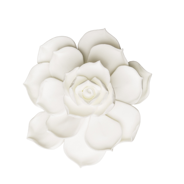 Flor suculenta de 3" - Mediana - Blanca